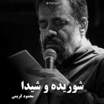 دانلود مداحی شوریده و شیدای توام از محمود کریمی