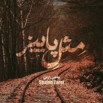 دانلود آهنگ مثل پاییز از شاهین زارعی به همراه پخش آنلاین + متن آهنگ